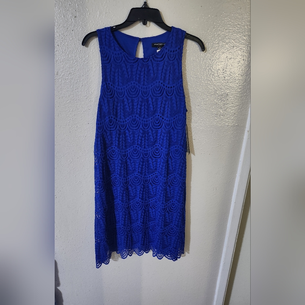 Elegant Blue Lace Dress